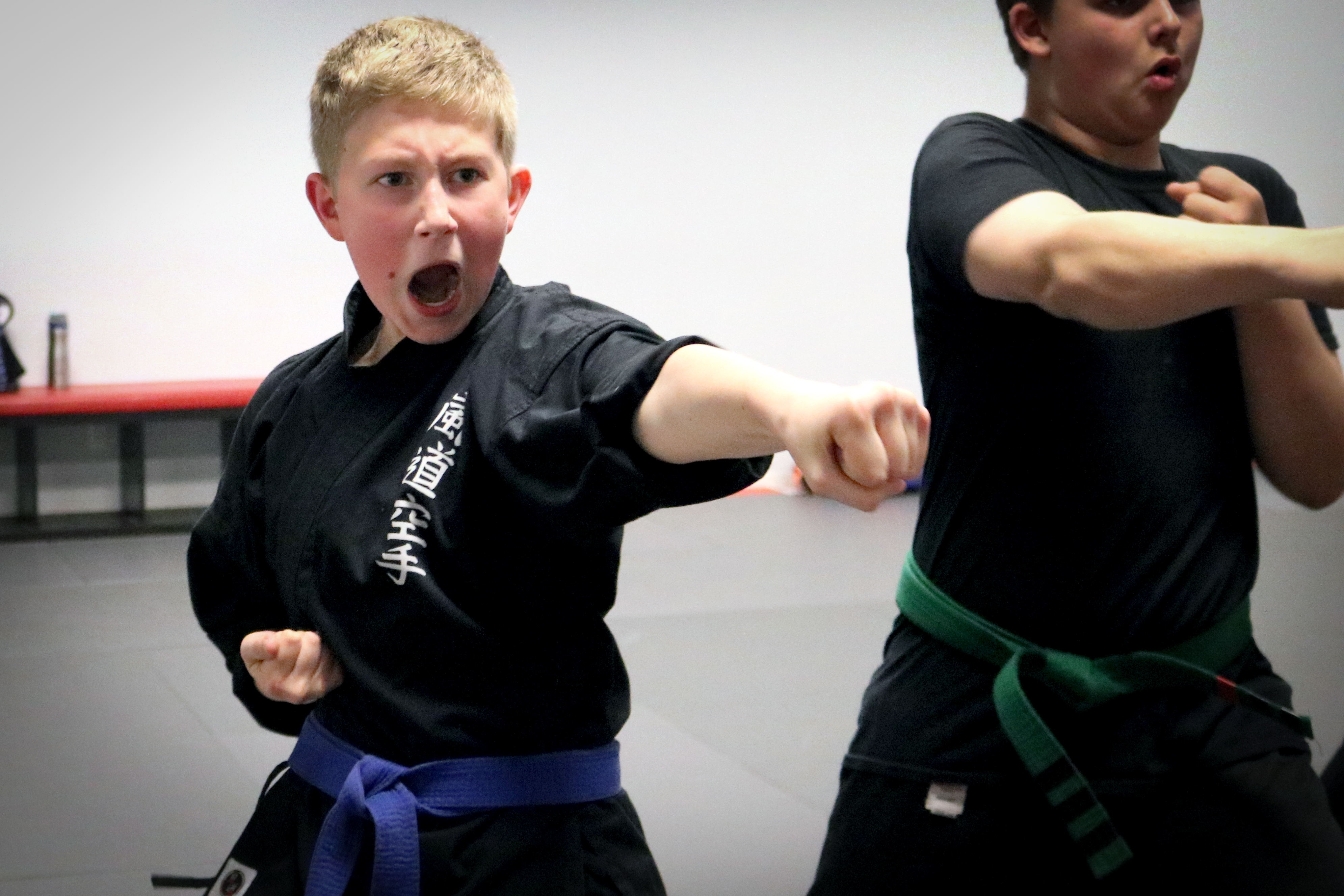 Karate Student Punching